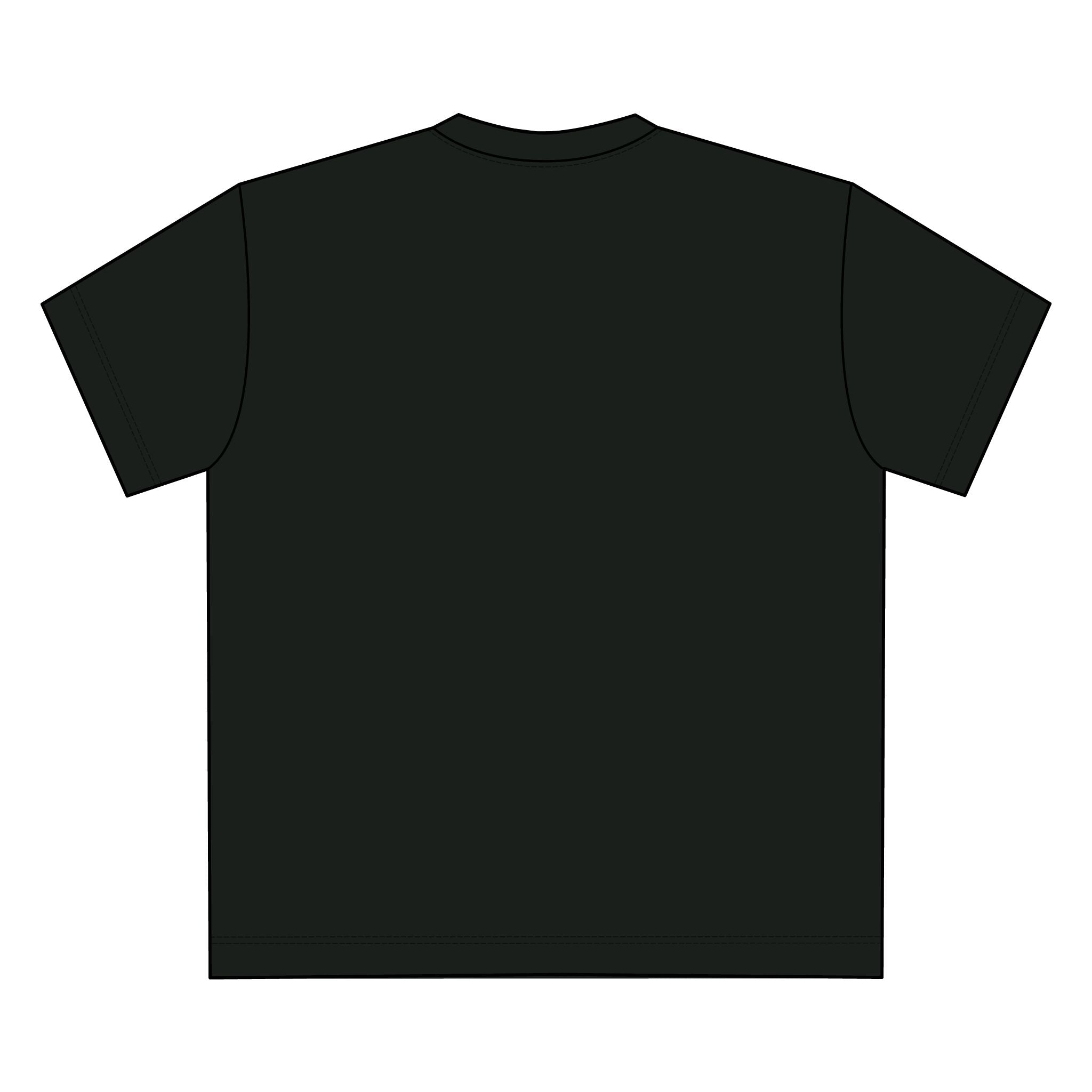 Chemister Rock 'n Roll T-Shirt (extra heavy)